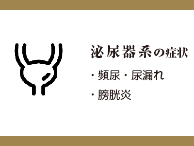 泌尿器系の症状
・頻尿・尿漏れ
・膀胱炎